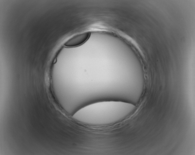 X0000112071415201007220958