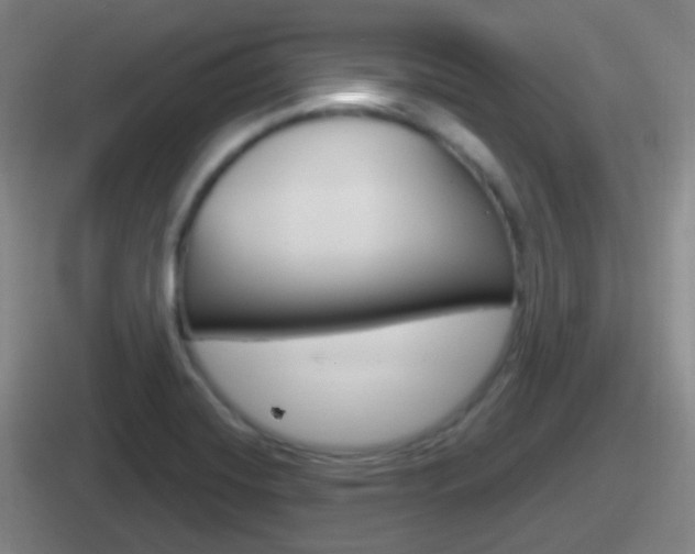 X0000112071420201007220958