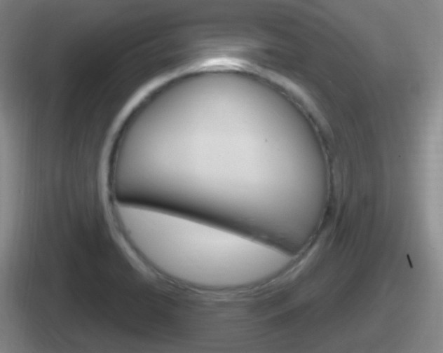 X0000112071422201007220958