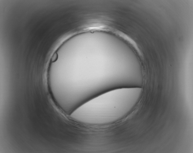 X0000112071423201007220958