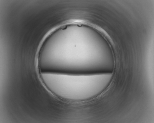 X0000112071424201007220958