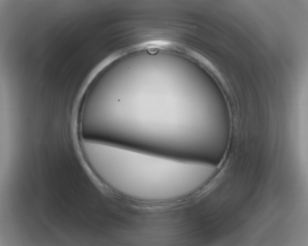 X0000112071426201007220958