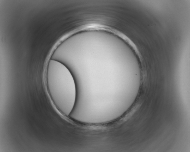 X0000112071429201007220958