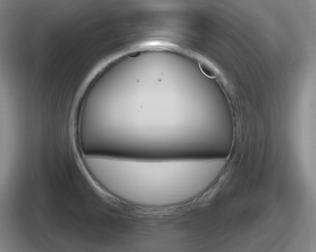 X0000112071430201007220958