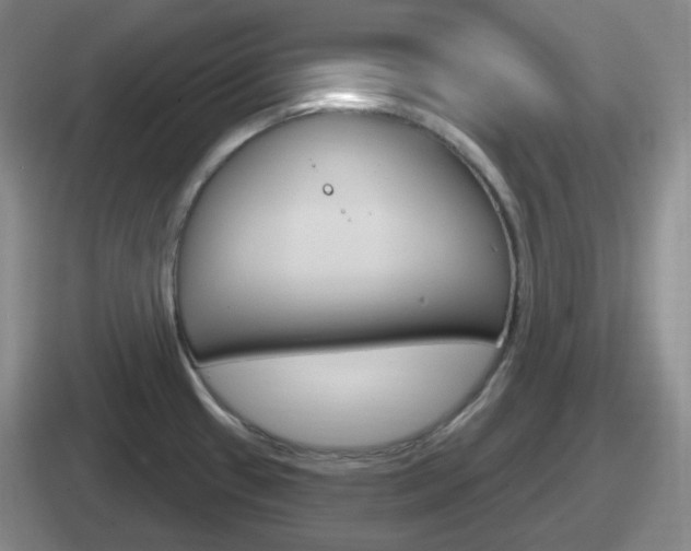 X0000112071433201007220958