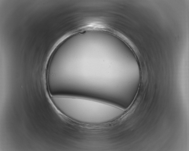 X0000112071434201007220958