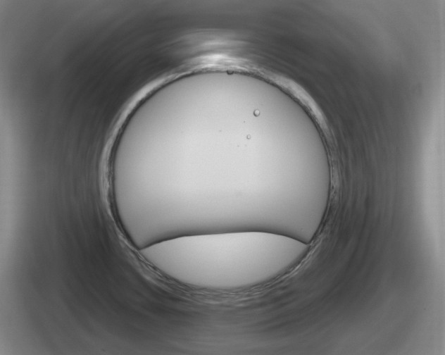 X0000112071435201007220958