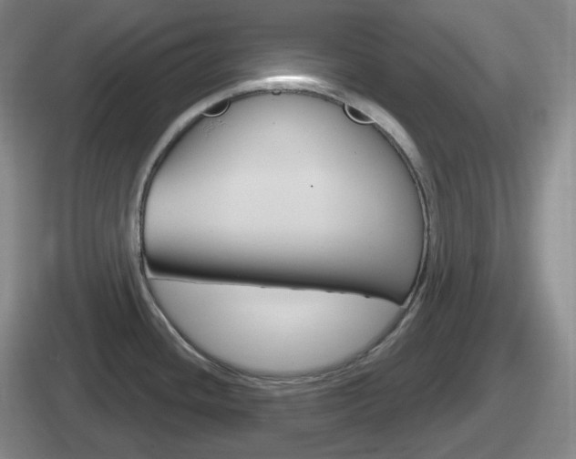 X0000112071436201007220958
