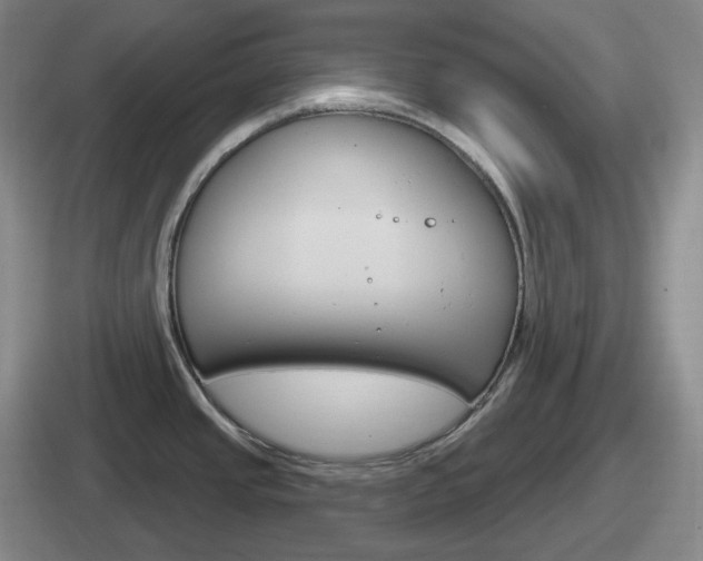 X0000112071437201007220958