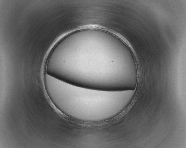 X0000112071438201007220958