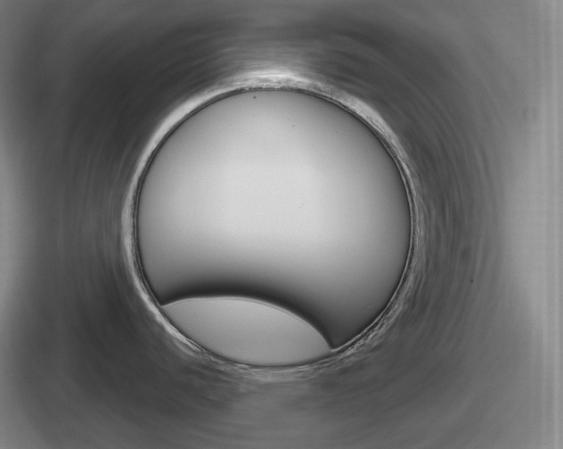 X0000112071440201007220958