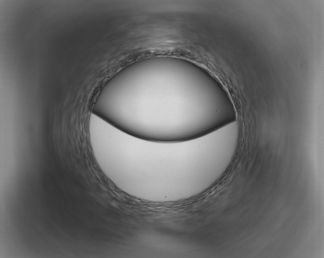 X0000112071445201007220957