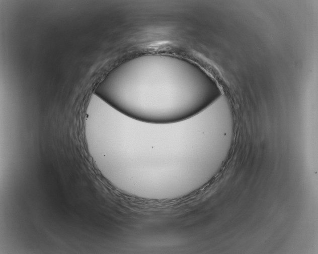 X0000112071447201007220957
