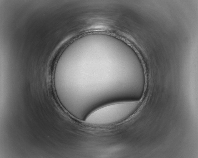 X0000112071450201007220957