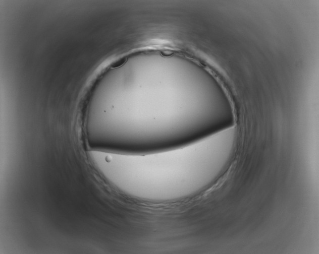 X0000112071455201007220957