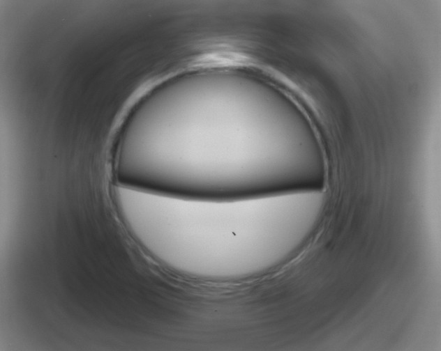 X0000112071459201007220957