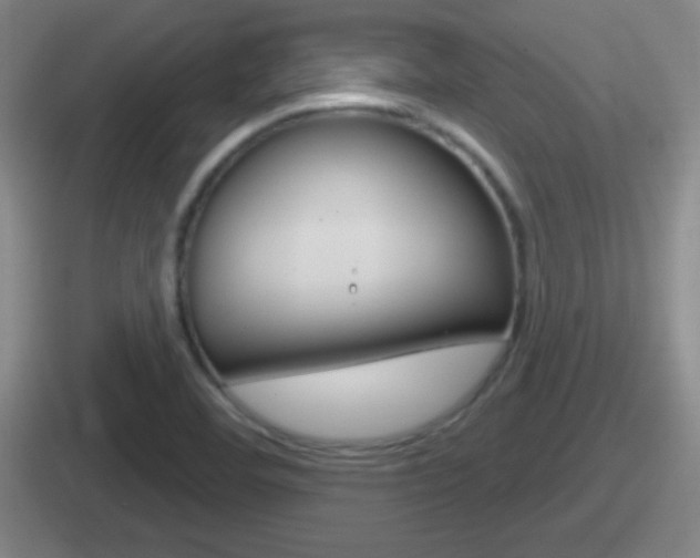 X0000112071460201007220957