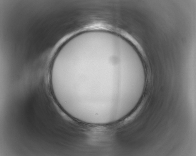 X0000112071462201007220957