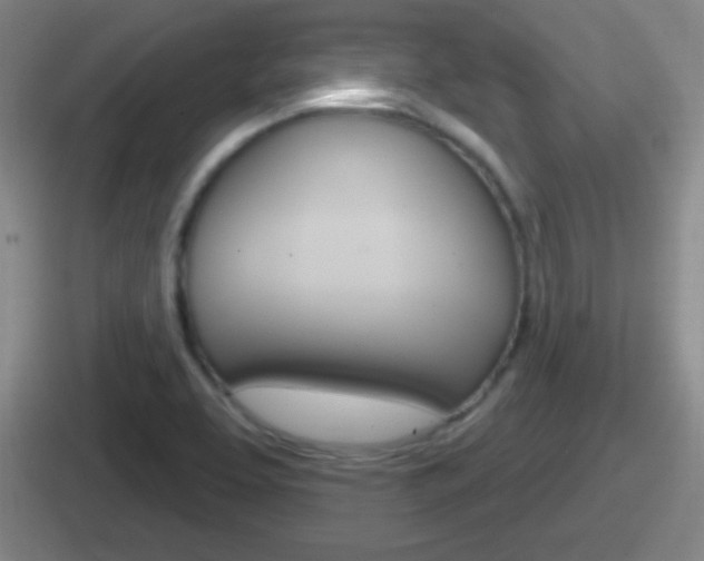 X0000112071463201007220957