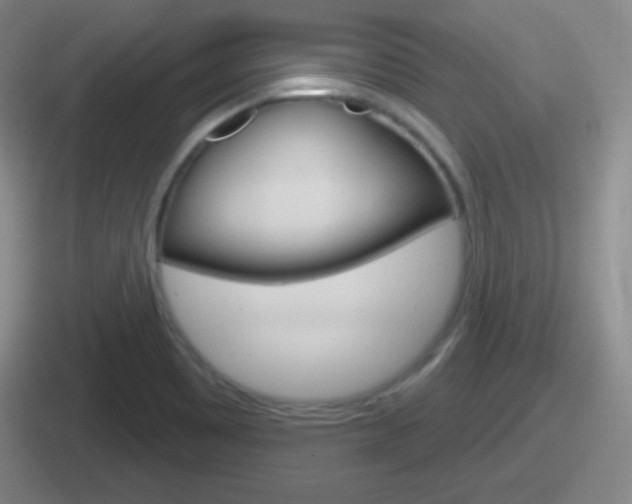 X0000112071465201007220957