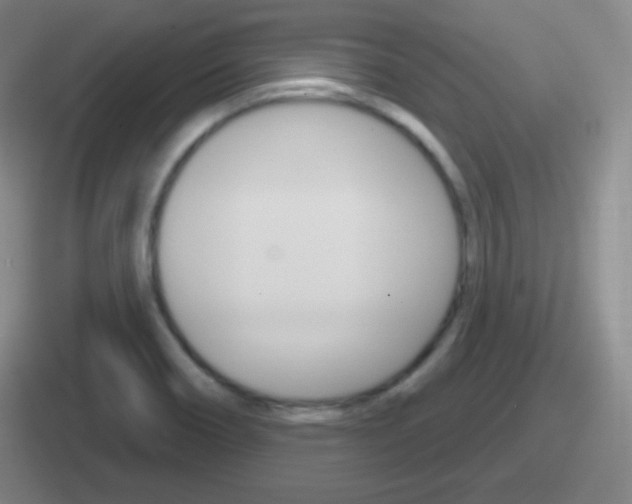 X0000112071466201007220957