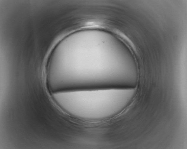 X0000112071467201007220957