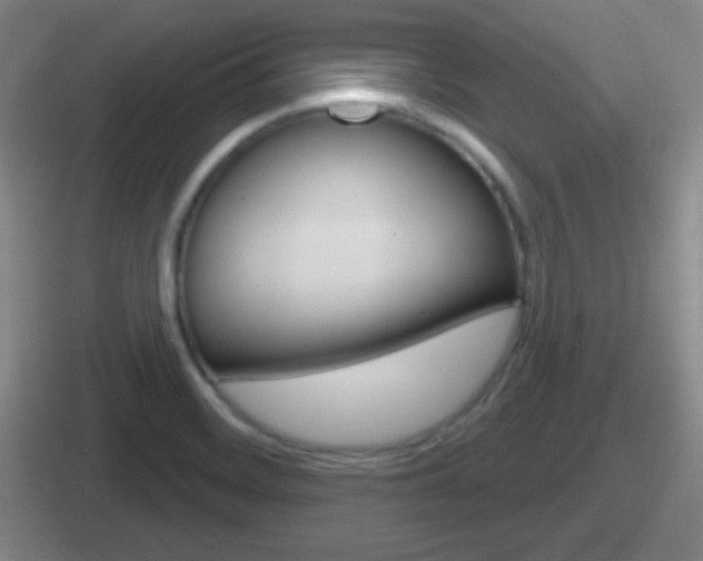 X0000112071468201007220957
