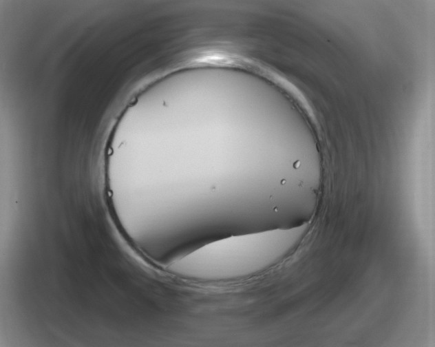 X0000112071479201007220957