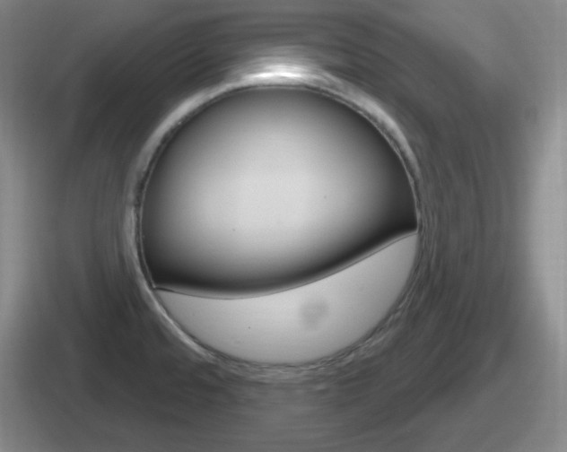 X0000112071480201007220957