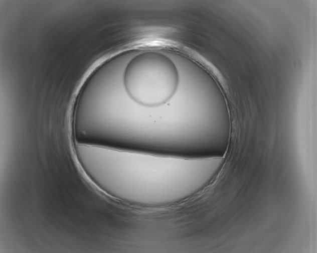 X0000112071483201007220957