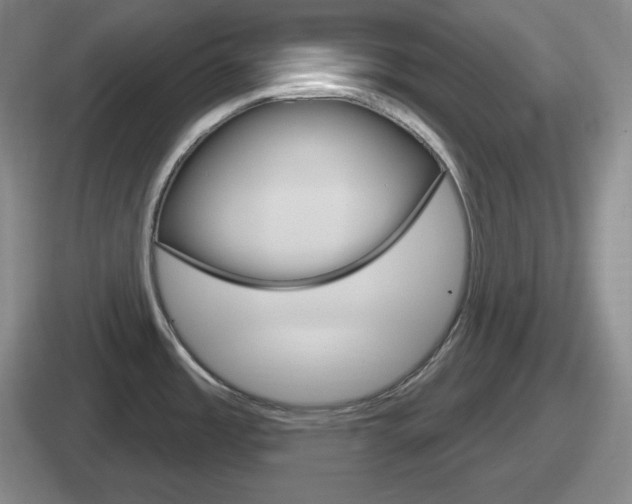 X0000112071485201007220957