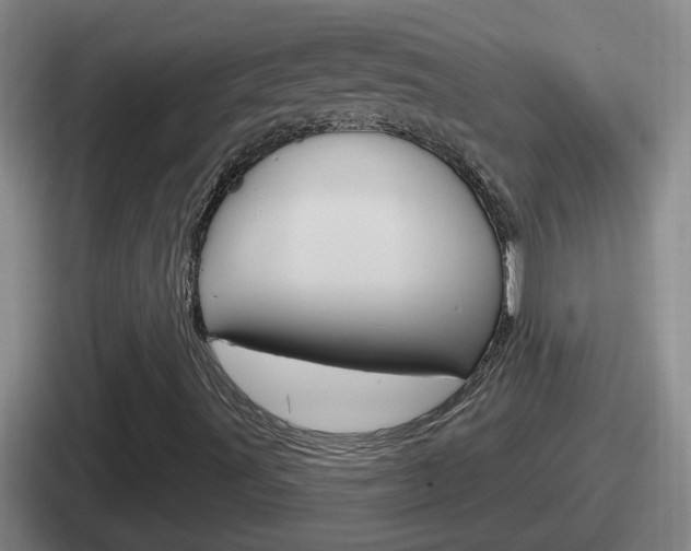 X0000112071491201007220956