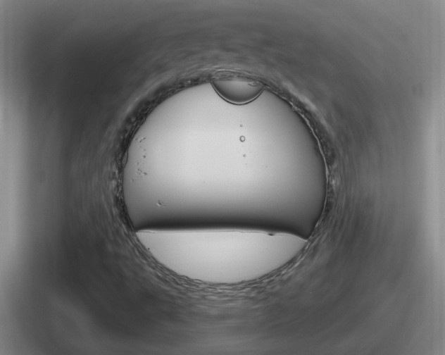 X0000112071495201007220956