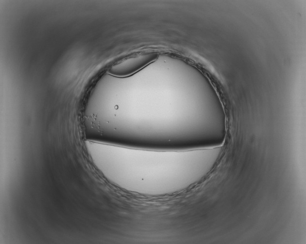 X0000112071496201007220956