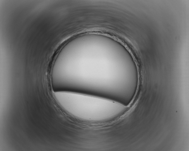 X0000112071497201007220956
