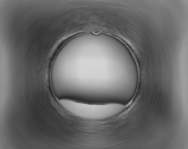 X0000112071499201007220956