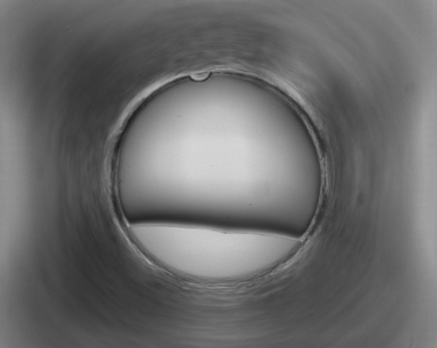 X0000112071500201007220956