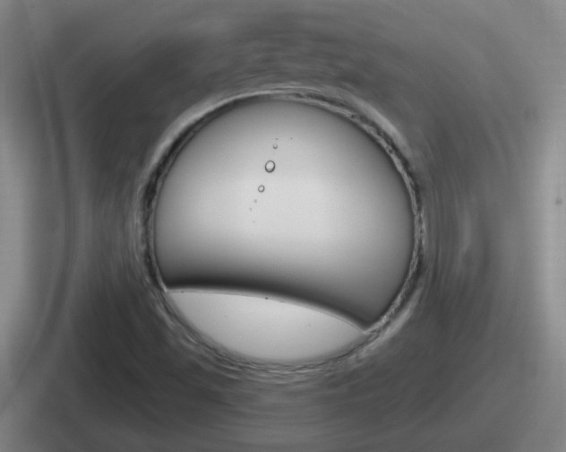 X0000112071501201007220956