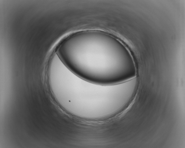 X0000112071502201007220956