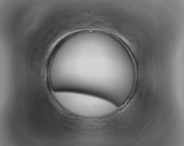 X0000112071503201007220956