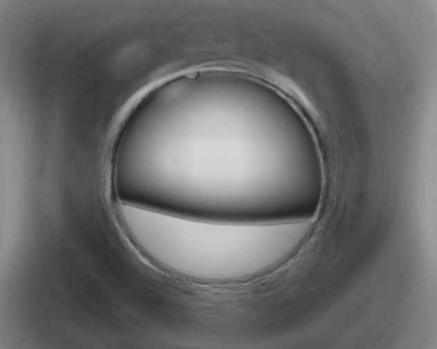 X0000112071504201007220956