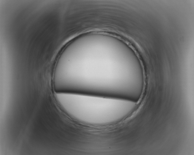 X0000112071505201007220956