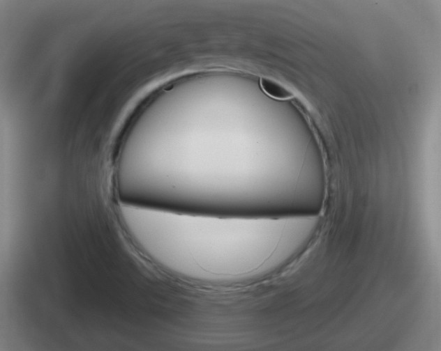X0000112071507201007220956