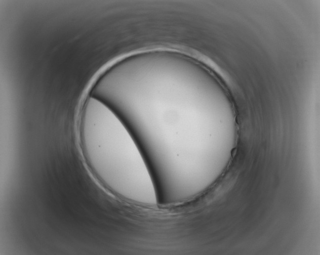X0000112071508201007220956