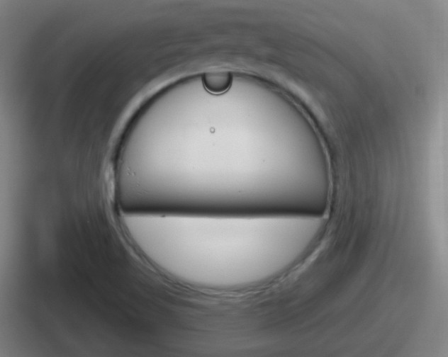 X0000112071509201007220956