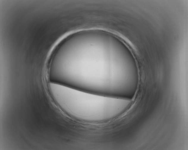 X0000112071510201007220956