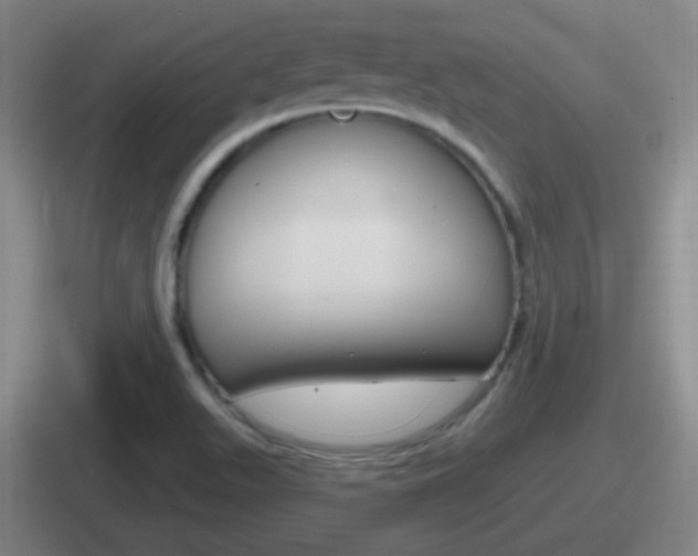 X0000112071511201007220956