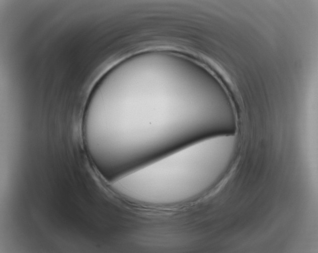 X0000112071513201007220956