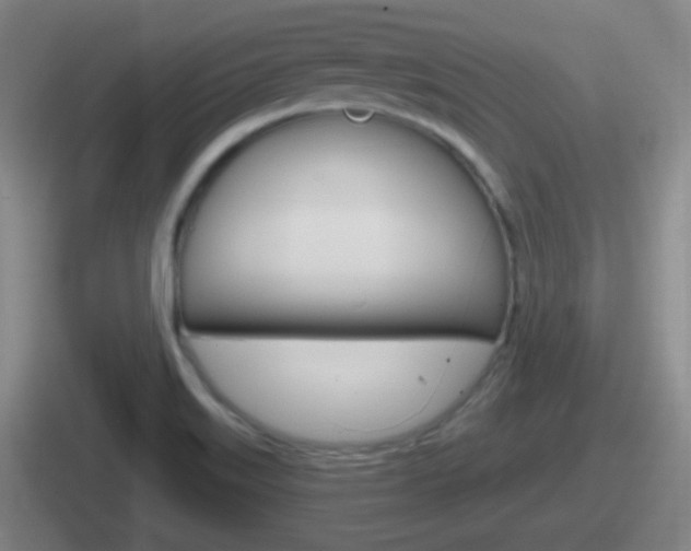 X0000112071515201007220956