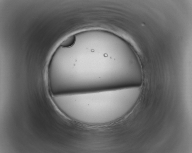 X0000112071516201007220956